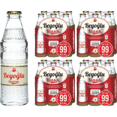 BEYOĞLU GAZOZ 250 ML SADE 24'LÜ - 1