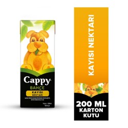 CAPPY MEYVE SUYU 200ML KAYISI - 