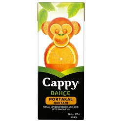 CAPPY MEYVE SUYU 200ML PORTAKAL - 