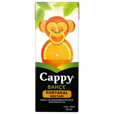 CAPPY MEYVE SUYU 200ML PORTAKAL - 1