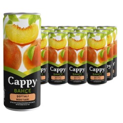 CAPPY MEYVE SUYU 250 ML 12'L ŞEFTALİ - 