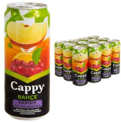 CAPPY MEYVE SUYU 250 ML 12'Lİ KARIŞIK - 