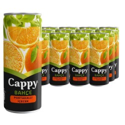 CAPPY MEYVE SUYU 250 ML 12'Lİ PORTAKAL - 