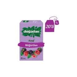 DOĞADAN BÖĞÜRTLEN BİTKİ ÇAYI 20 Lİ - Doğuş