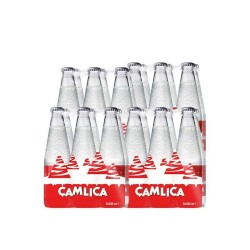 ÜLKER ÇAMLICA CAM ŞİŞE GAZOZ 250ML - 24'LÜ - 