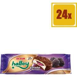 ÜLKER HALLEY MİNİ KARADUT 66 GRX24'LÜ - 